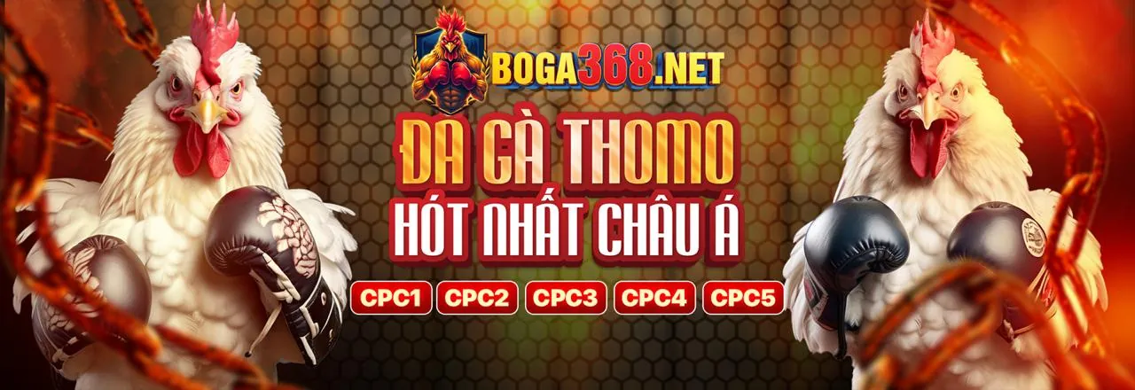 Đá Gà Trực Tuyến Hấp Dẫn tại 88ok8386